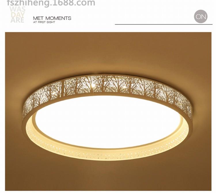 圆形超薄卧室客厅吸顶灯led无极调光灯具 白光 直径45cm_7