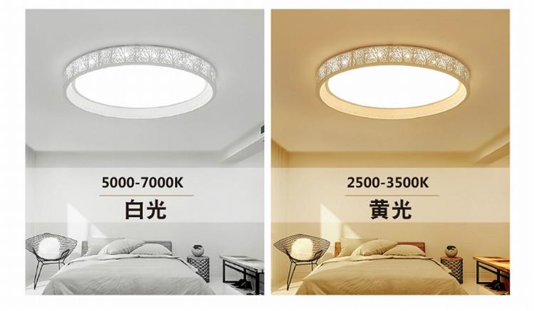 圆形超薄卧室客厅吸顶灯led无极调光灯具 白光 直径45cm_9